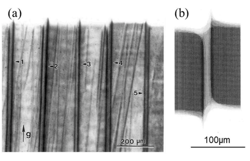 News - Analysis of dislocation structure in SiC crystal by ray tracing ...