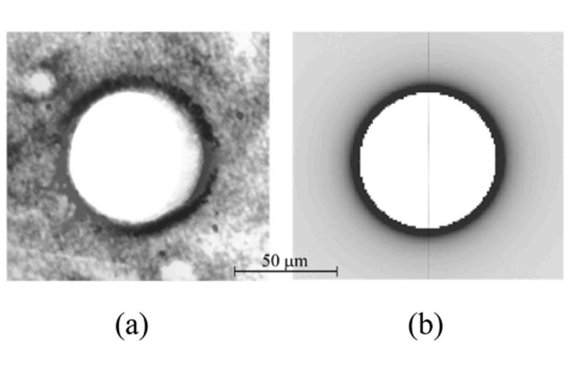 News - Analysis of dislocation structure in SiC crystal by ray tracing ...